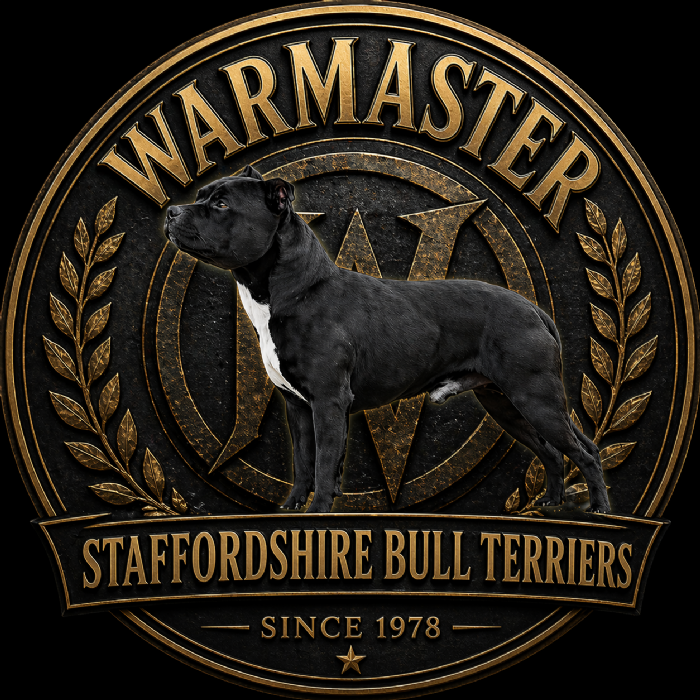Warmaster SBTs